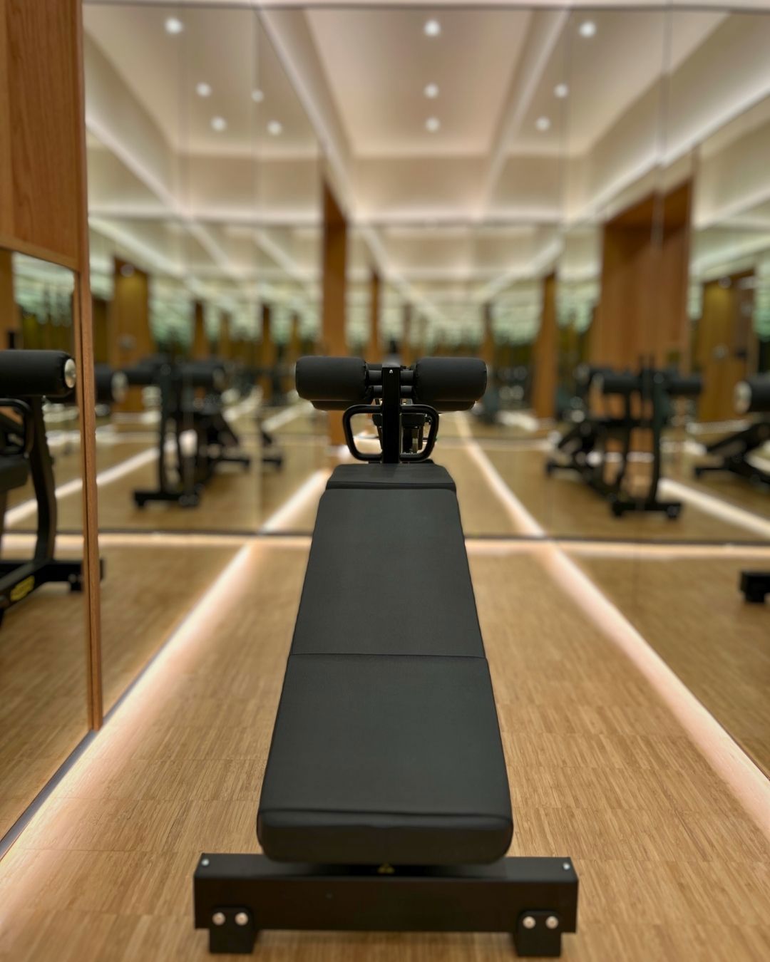 Harmony in Motion 10