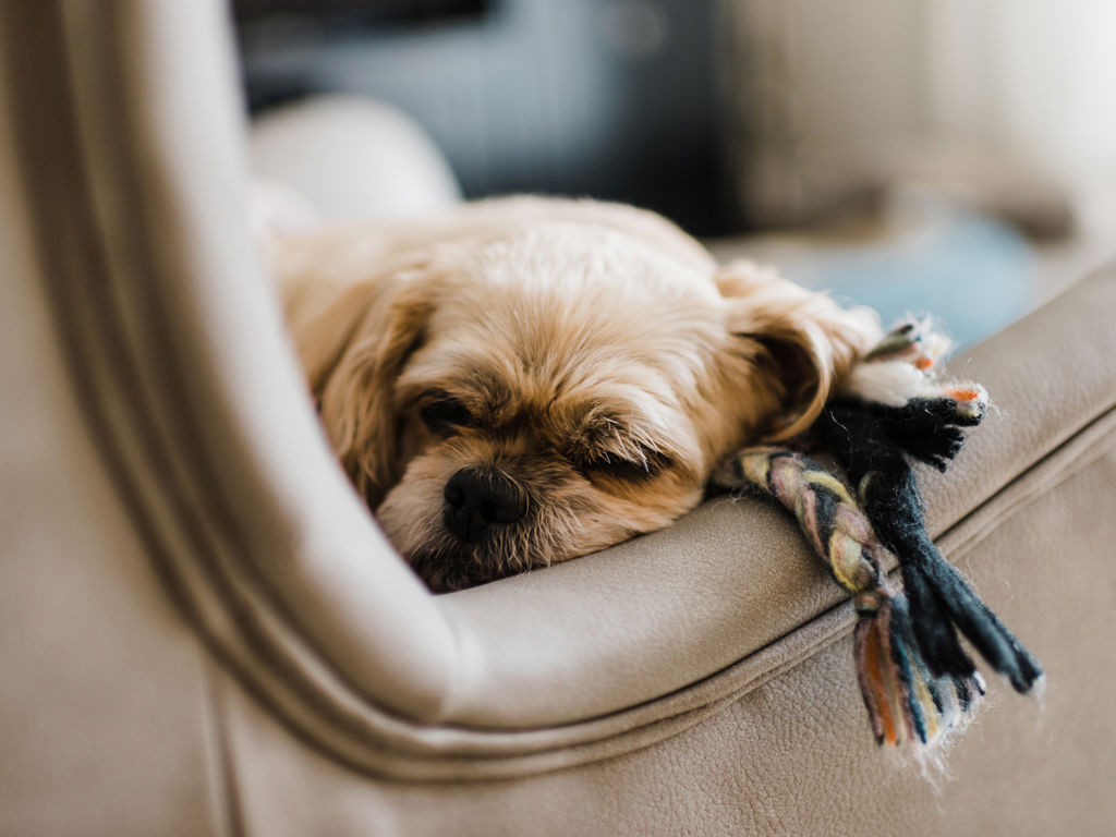 Votre désir d’un chez soi 16 Votre désir d’un chez soi 16