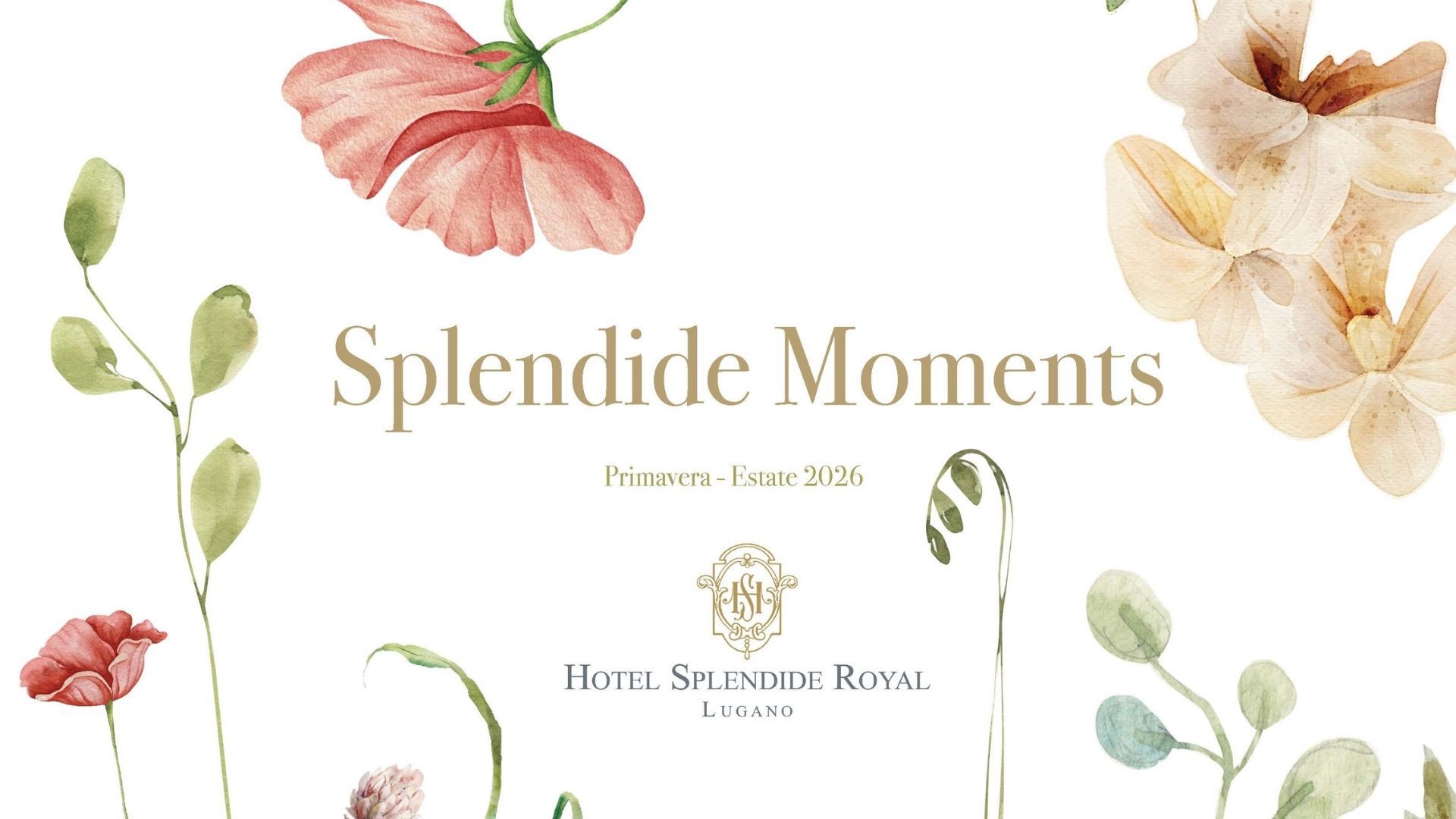 Splendide Moments 3