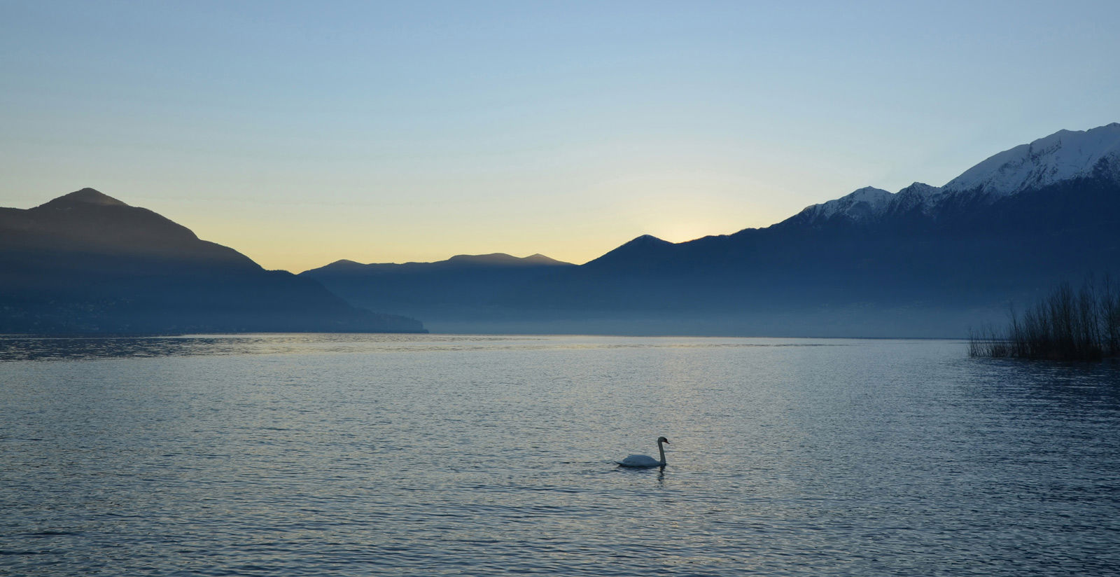 Our exclusive proprieties 18