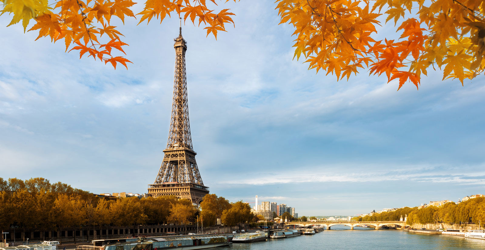 Our exclusive proprieties 17