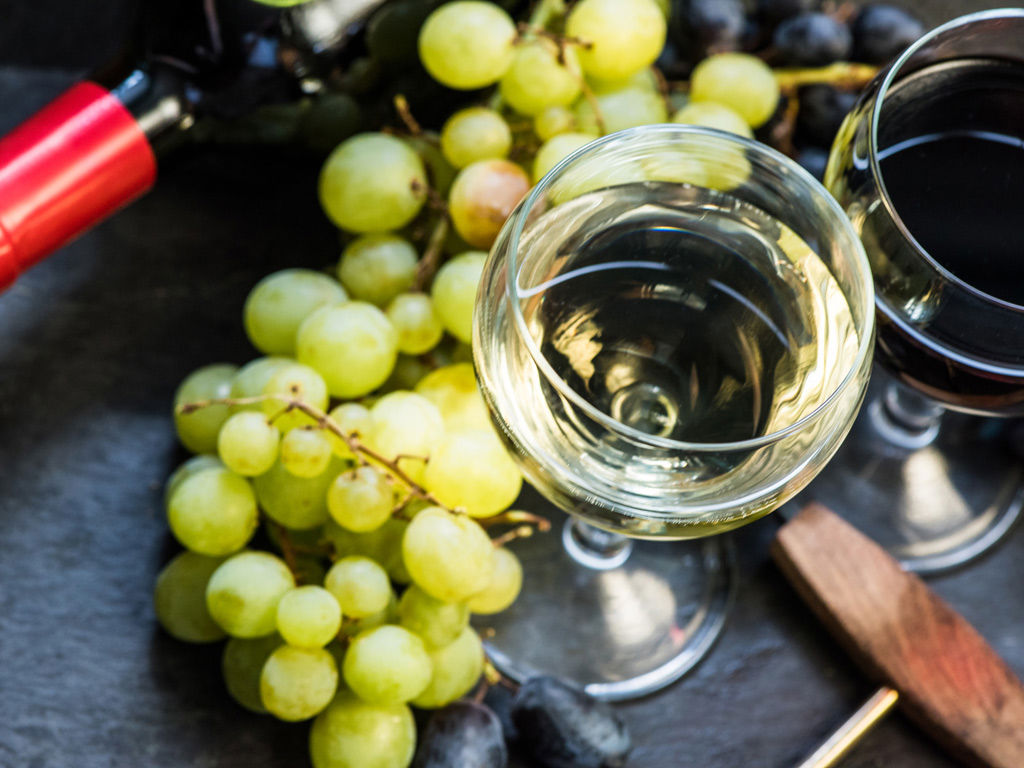 Esperienze 5 Esperienze 5