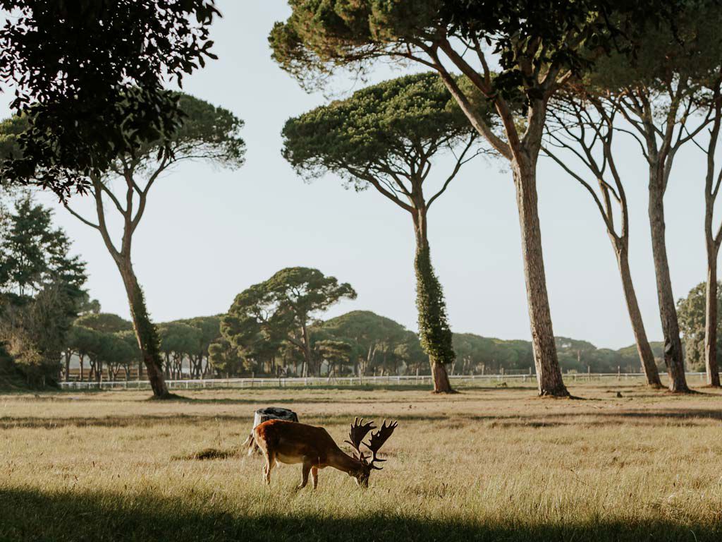 Hotel Byron - Nature and landscapes 2