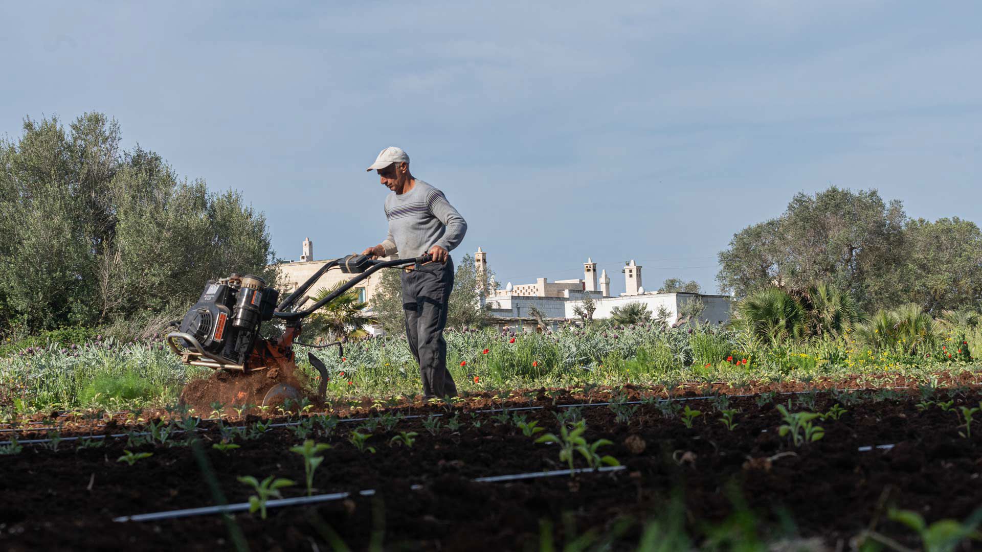Masseria Palombara Resort - La Cucina 2 Masseria Palombara Resort - La Cucina 2