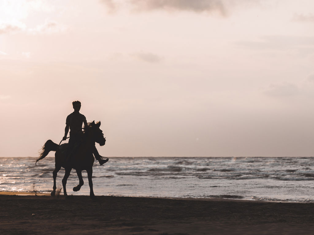 Infinito Resort - Horseback riding 21