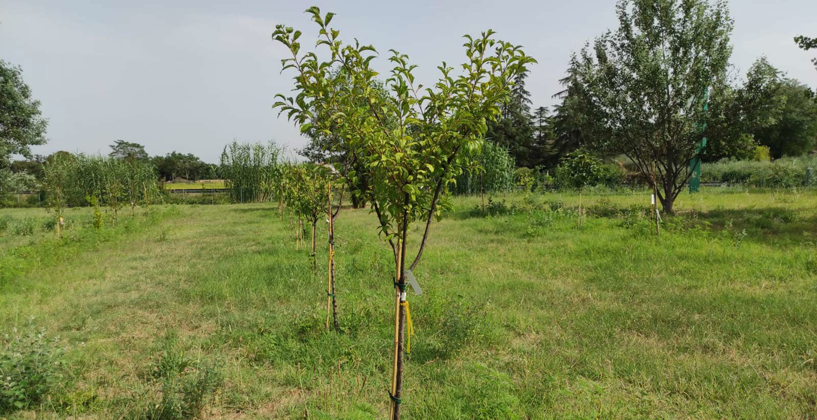 Il Nostro Impegno per un Futuro Ecocompatibile 6