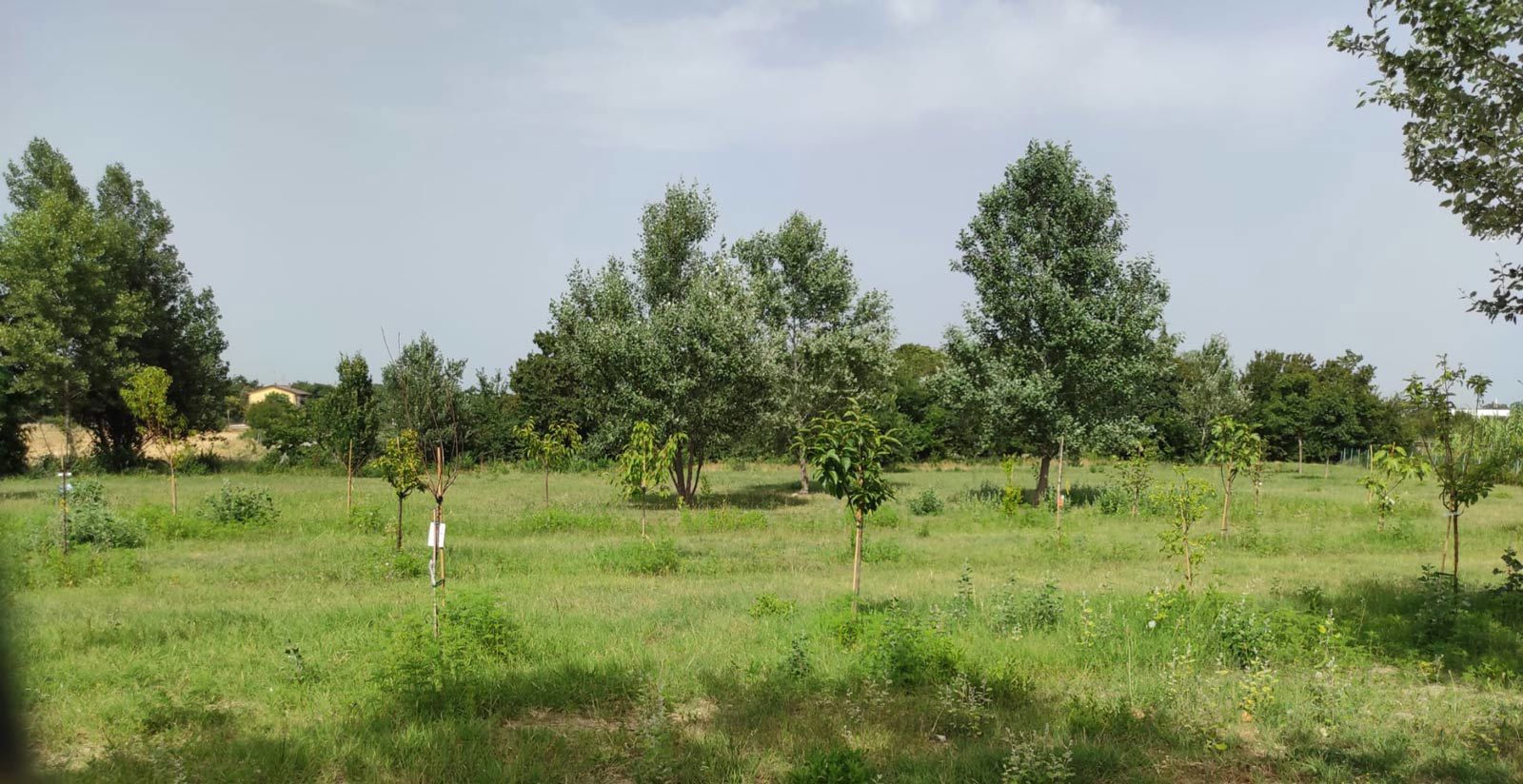 Il Nostro Impegno per un Futuro Ecocompatibile 7