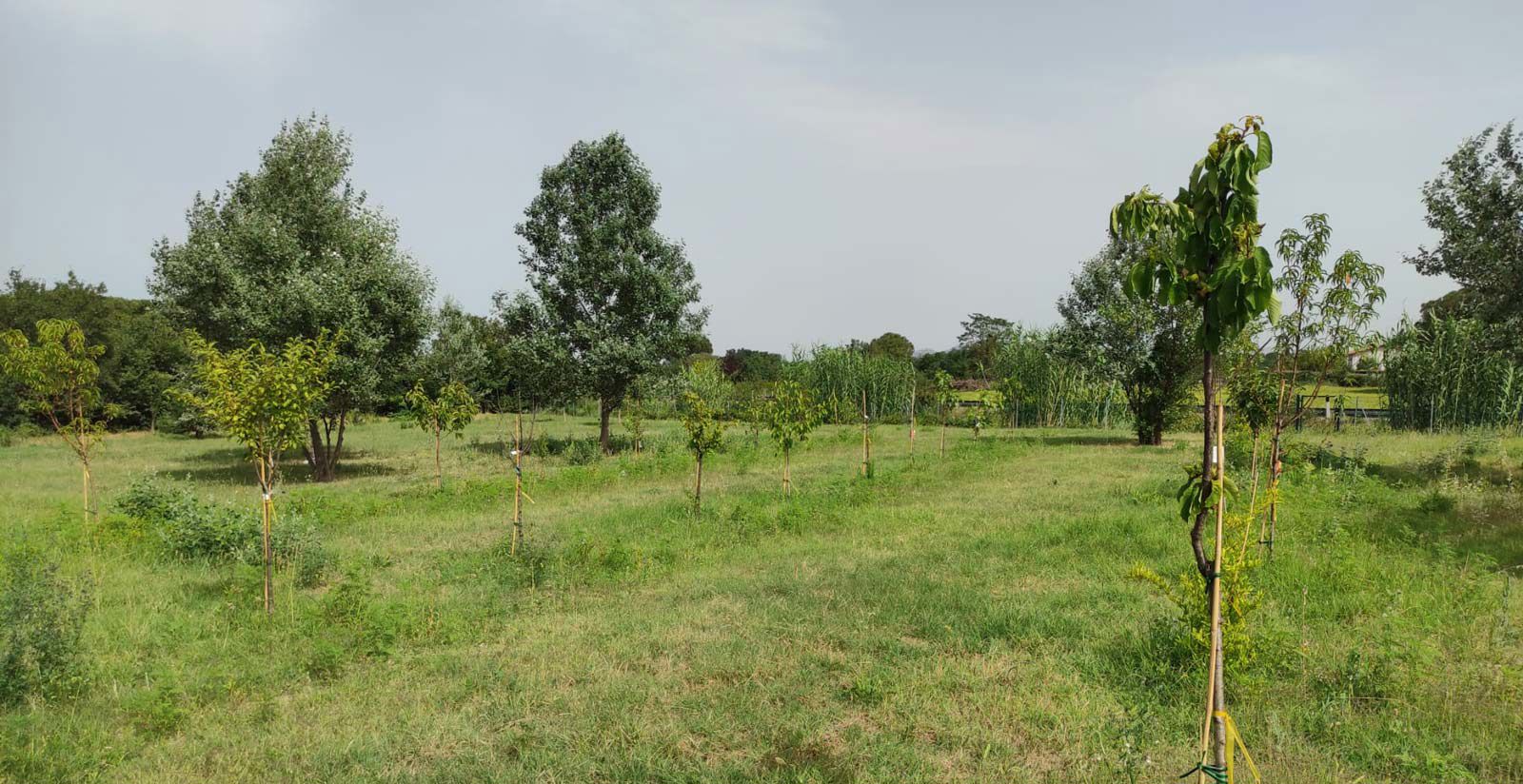 Il Nostro Impegno per un Futuro Ecocompatibile 8