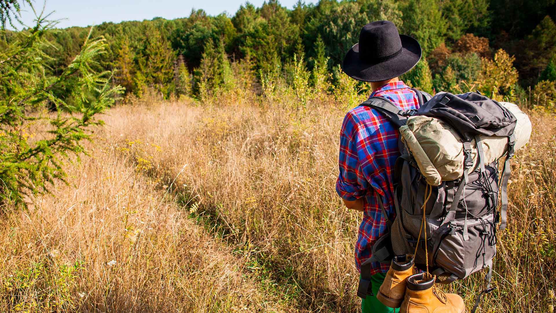 Experience the Spirit of Romagna 8