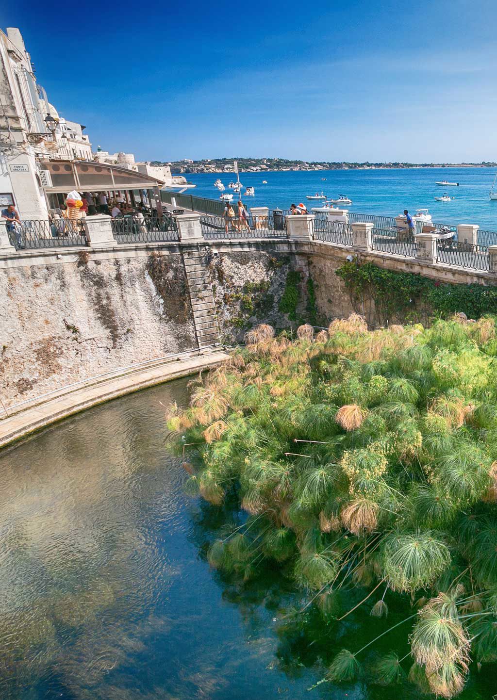 Una storia millenaria 13