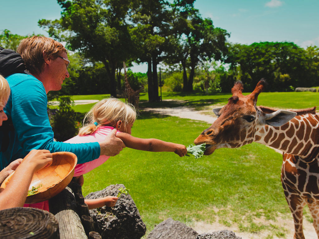 vERgnugungspaRks fuR ERwachsEnE und kindER 7