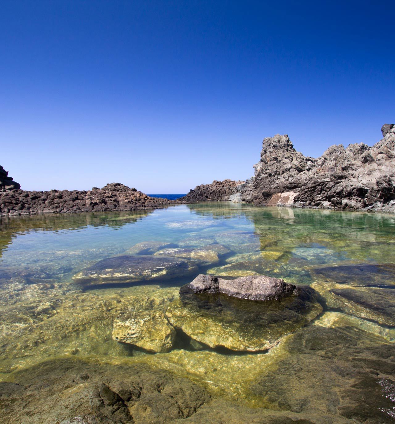 Dare ascolto alla Natura, udirne il canto 0
