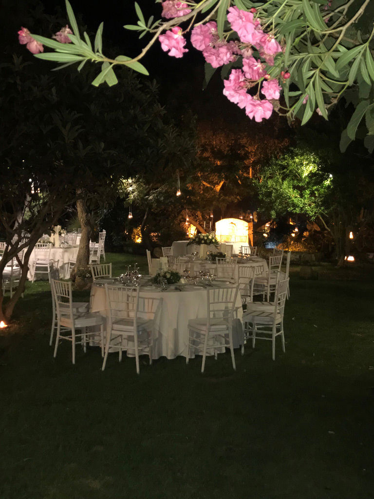 Weddings & Celebrations 6 Weddings & Celebrations 6