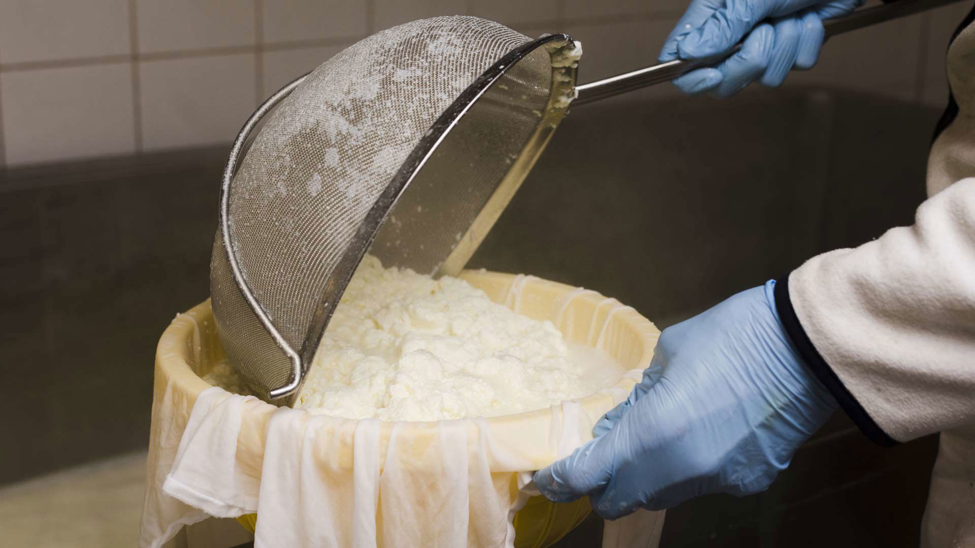 Ricotta making 1