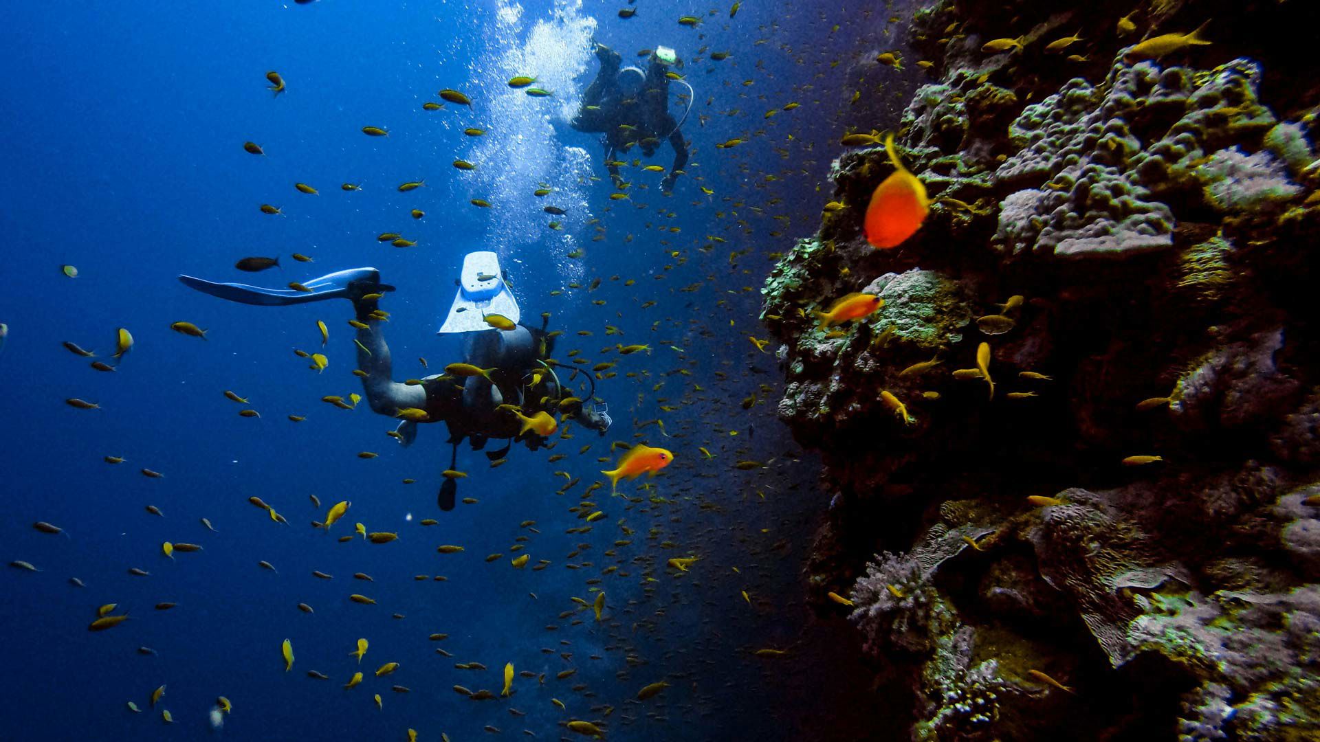 Scuba diving 1