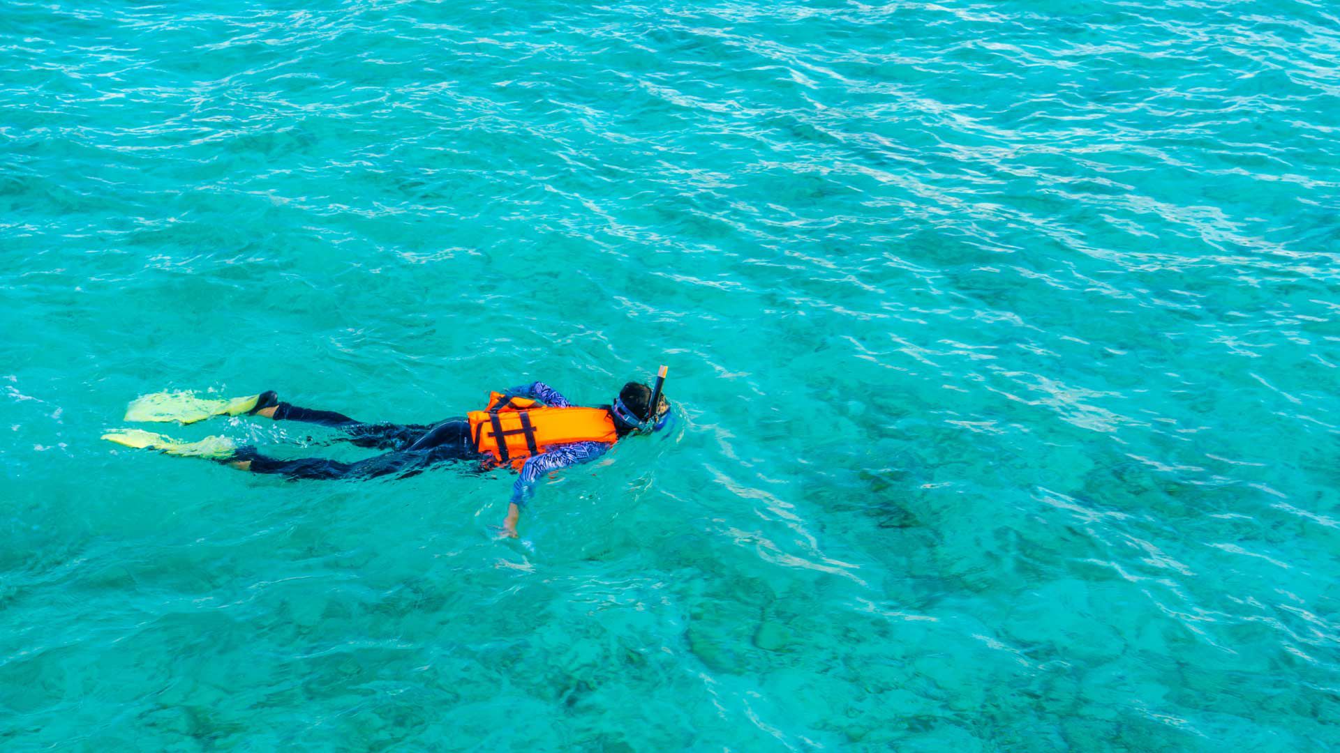 Snorkeling 1