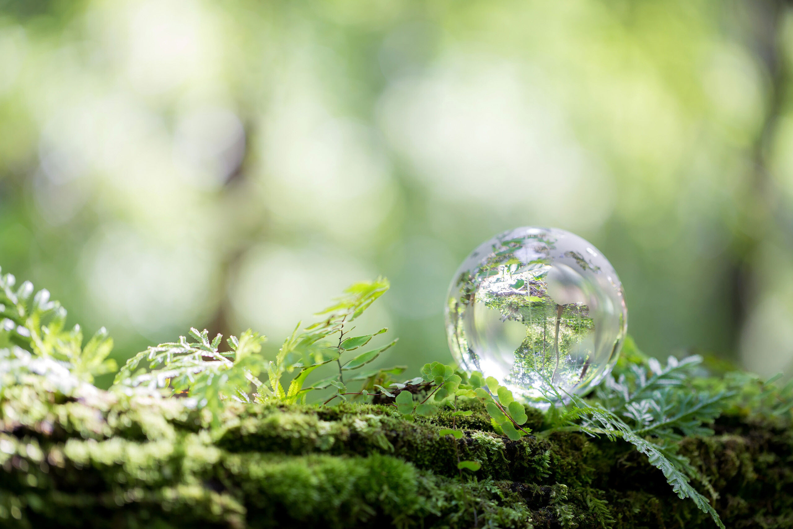 Hotel Le Cerbaie - Sustainability 1