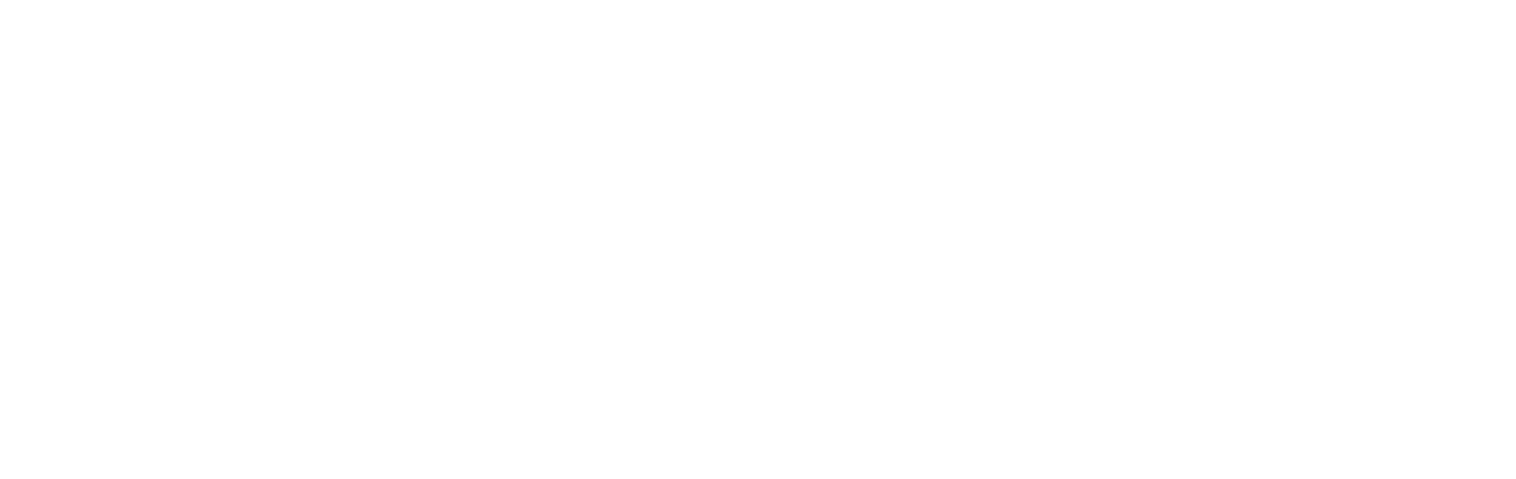 banner/bike_accademy-logo-bianco.png