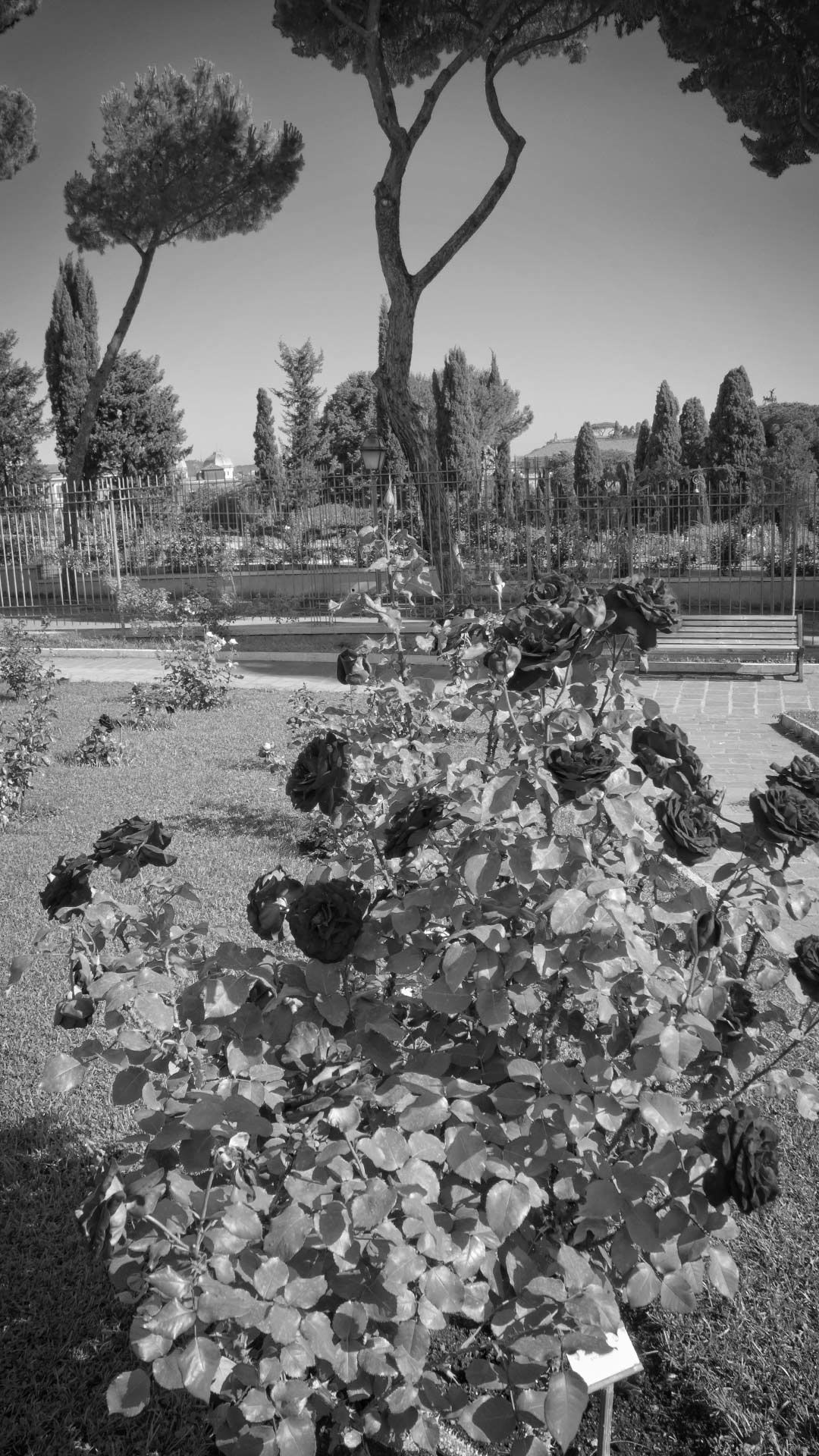 The Sanctuary Urban Retreat - City Experience 1