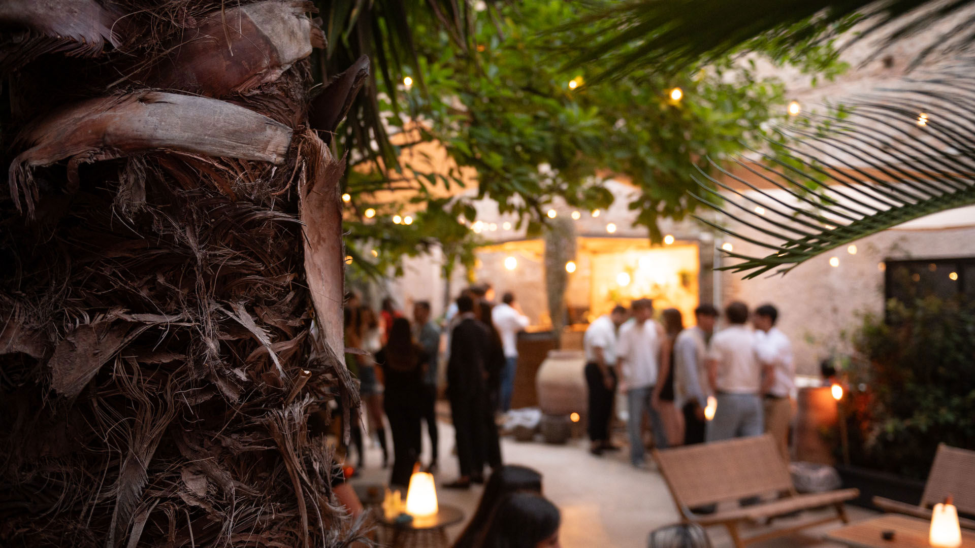 The Sanctuary Urban Retreat - Garden & Bar 6