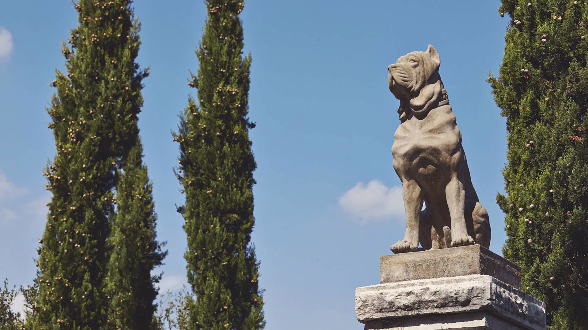 Villa Mangiacane estate 23 Villa Mangiacane estate 23