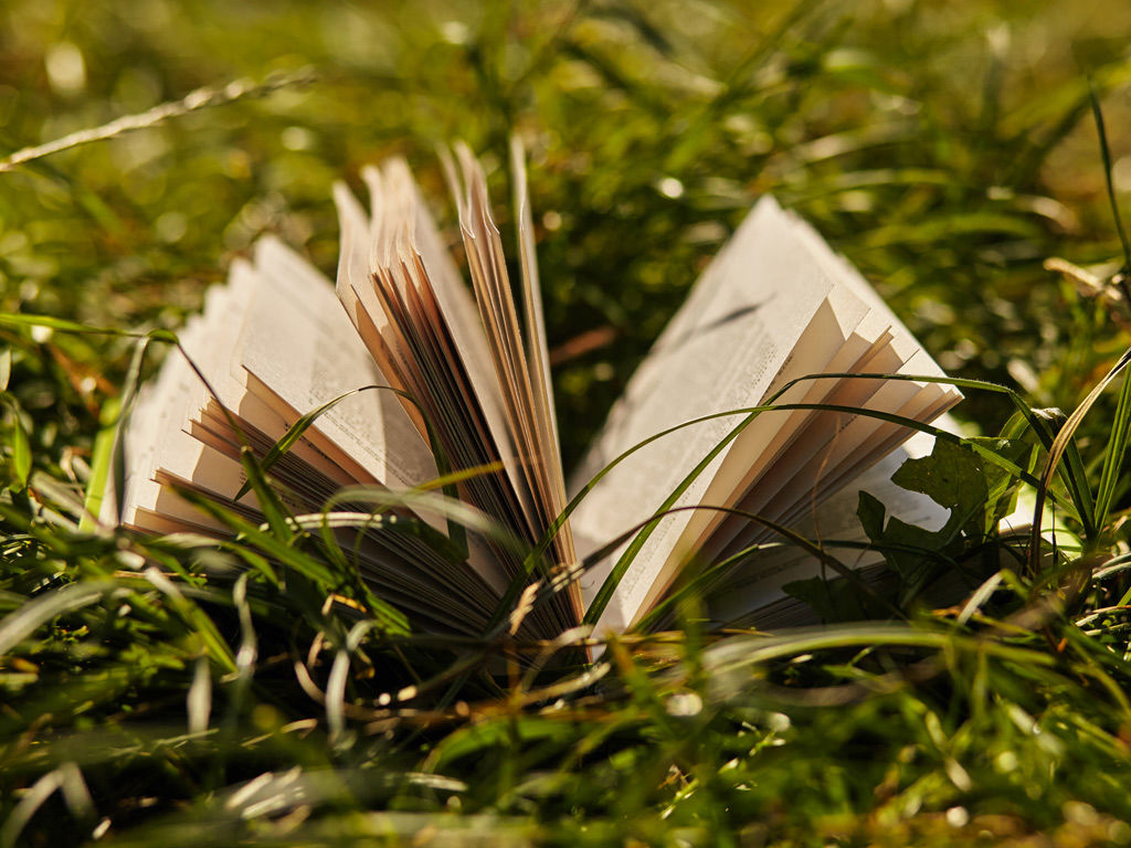 Eremo dei Poeti - Agriturismo 6