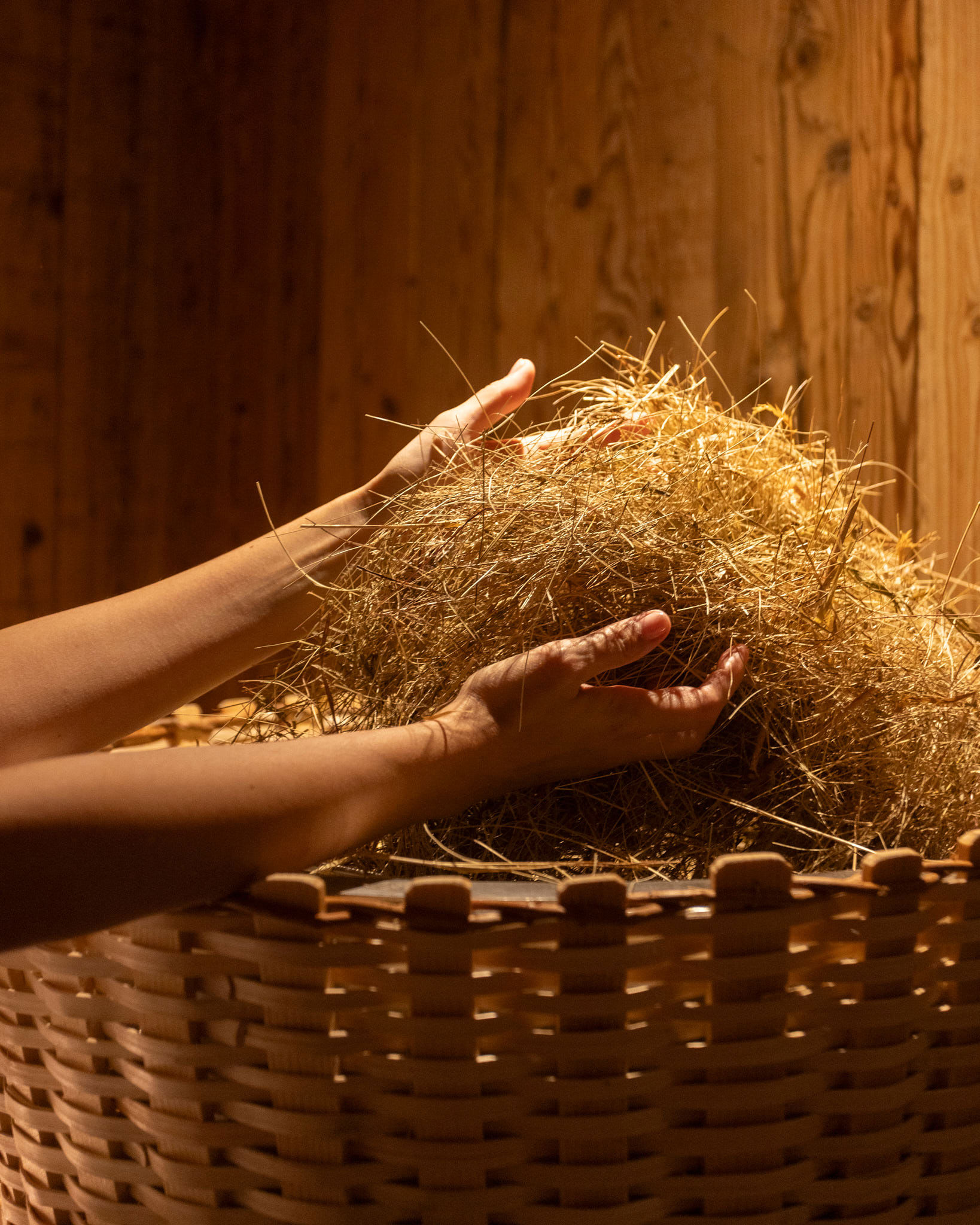 Boutique Hotel Stresa - Boutique Hotel Stresa 8