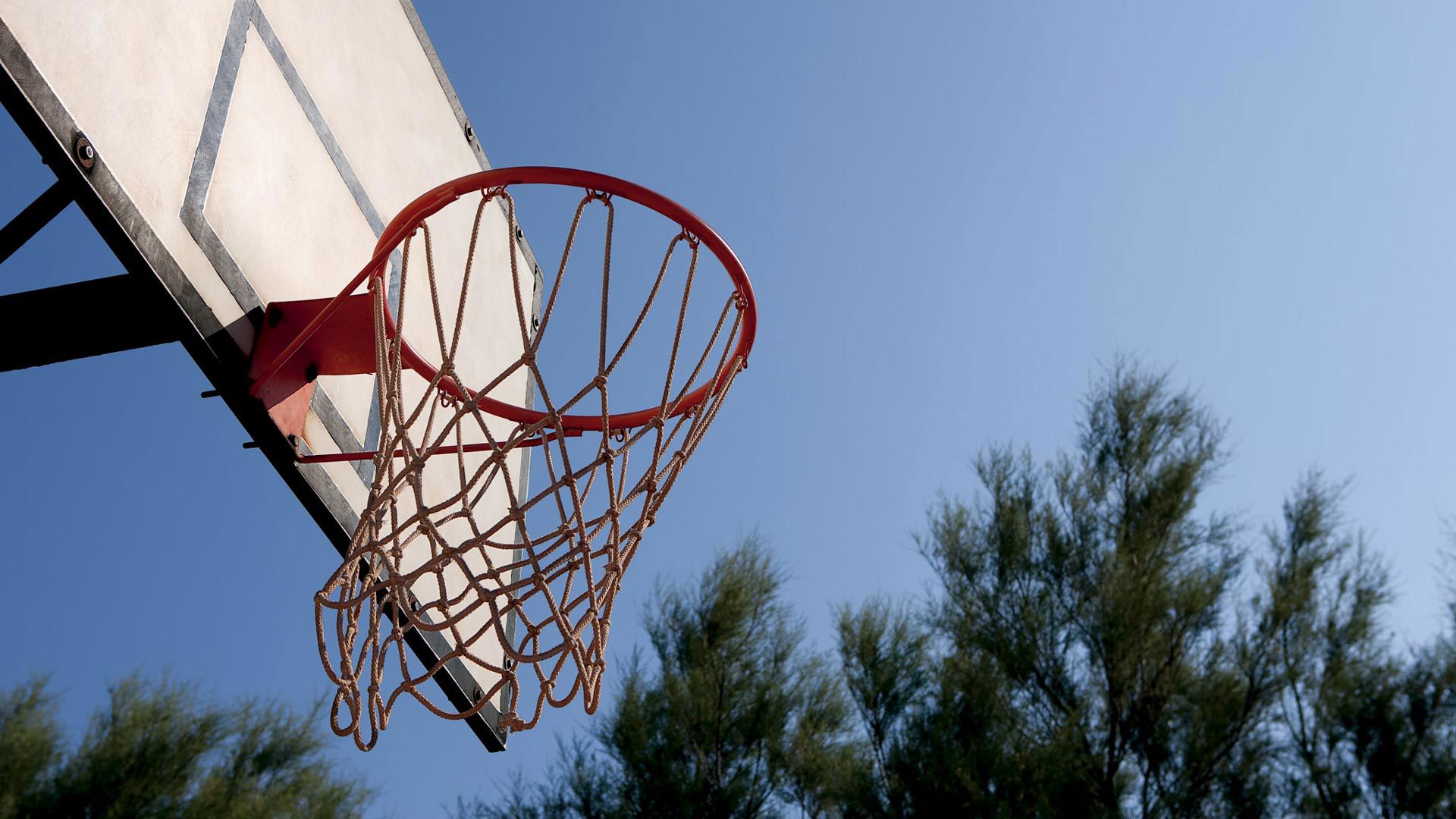 Meditur - Servizi 12