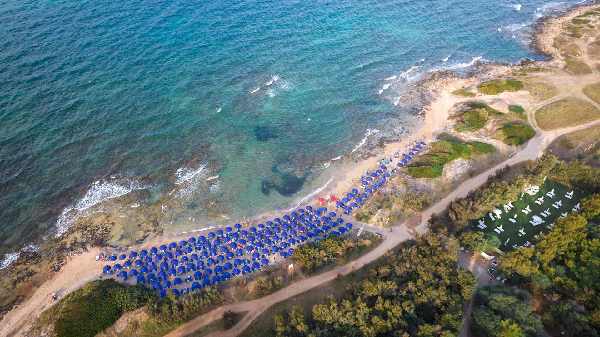 Meditur - Benvenuti a  5