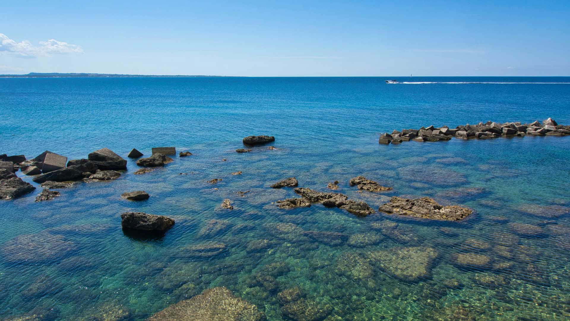 Meditur - Intorno a noi 7