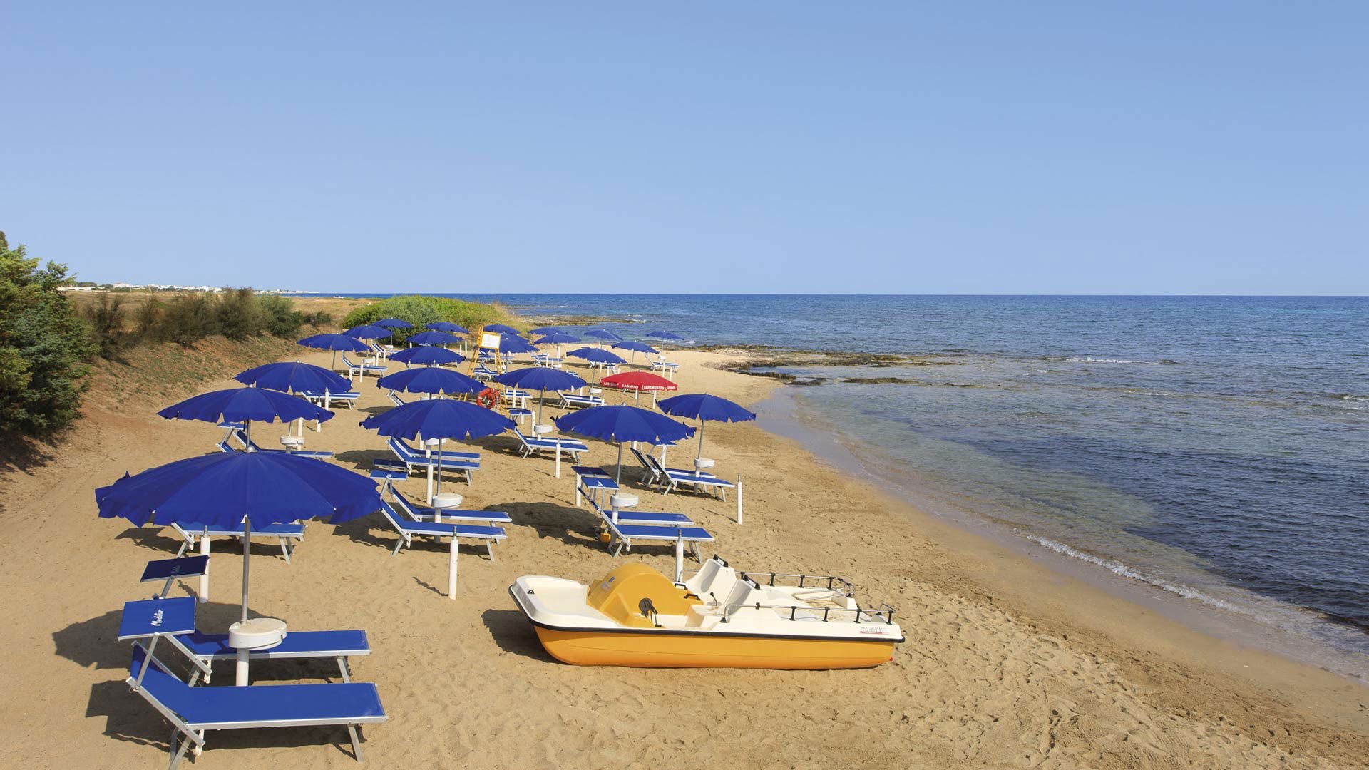 Meditur - Benvenuti a  4