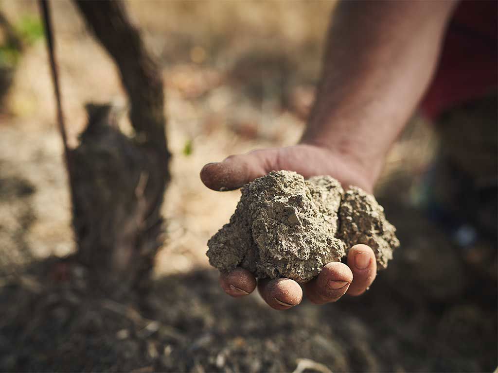 Castello Di Meleto 9