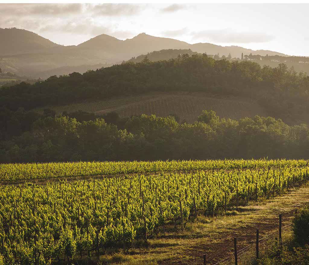 Castello Di Meleto 12