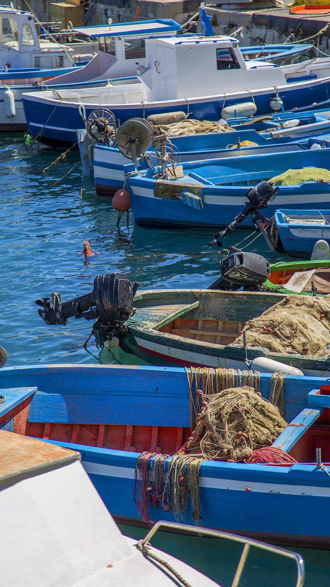 Diving e Battuta di pesca 4
