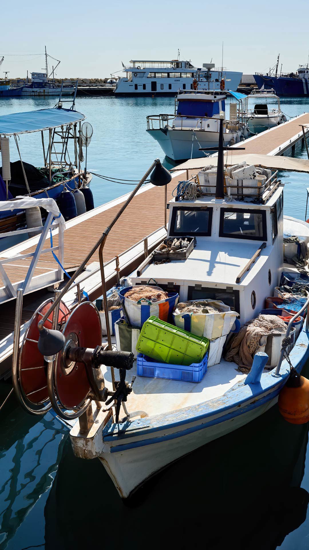 Diving e Battuta di pesca 4