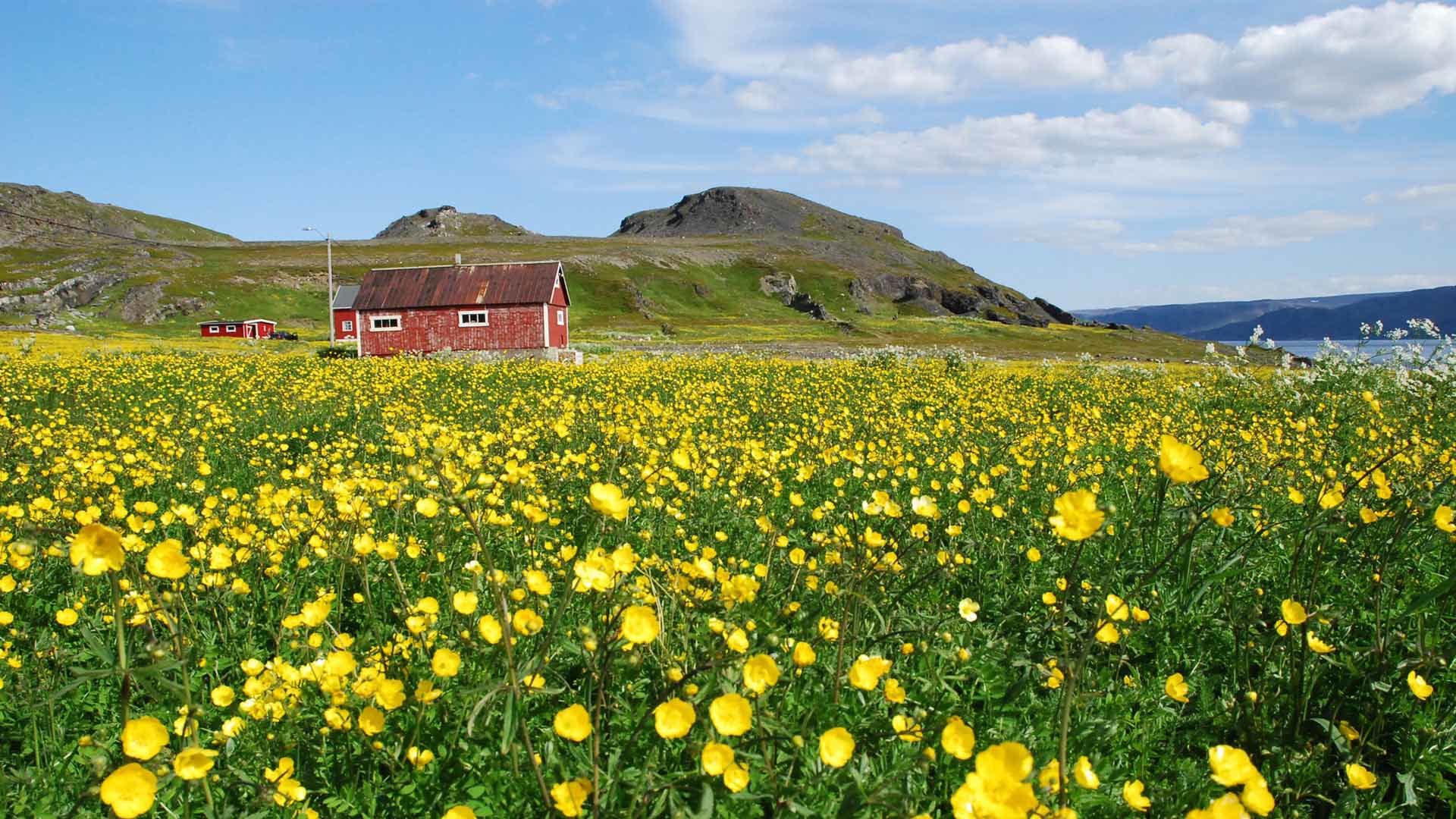 Kongsfjord Artic Lodge - Kongsfjord Arctic Lodge is the perfect stay for anyone looking for a unique experience in the fjords on the Barents Sea 3