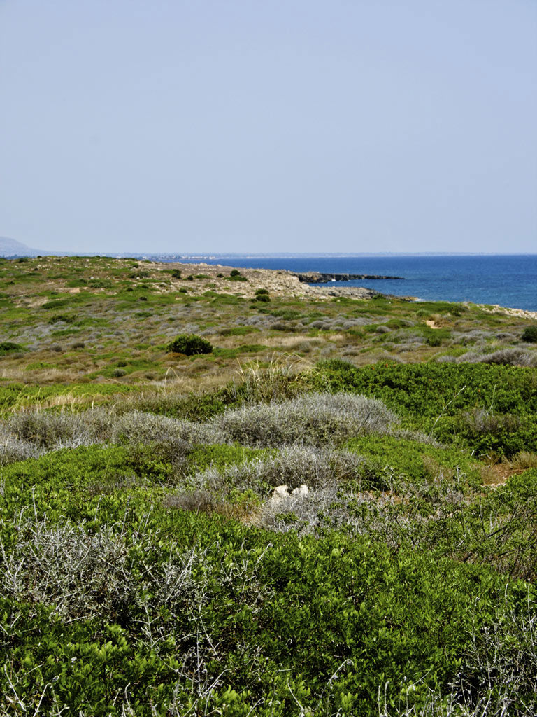 Hotel Centrale Siracusa - Dintorni 13 Hotel Centrale Siracusa - Dintorni 13