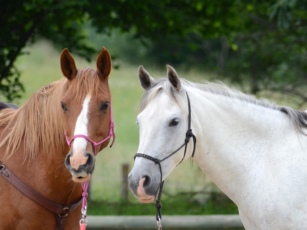 Activities & Experiences 8 Activities & Experiences 8