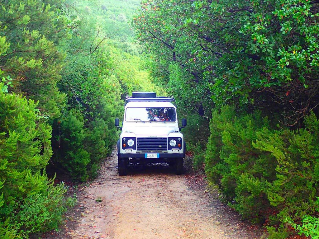 gallery/1024_jeep-tour.jpg gallery/1024_jeep-tour.jpg