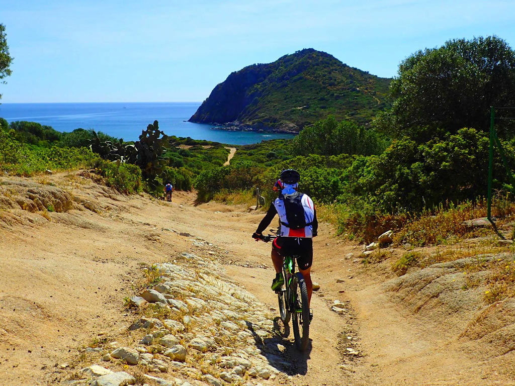 gallery/1024_mountain-bike.jpg gallery/1024_mountain-bike.jpg