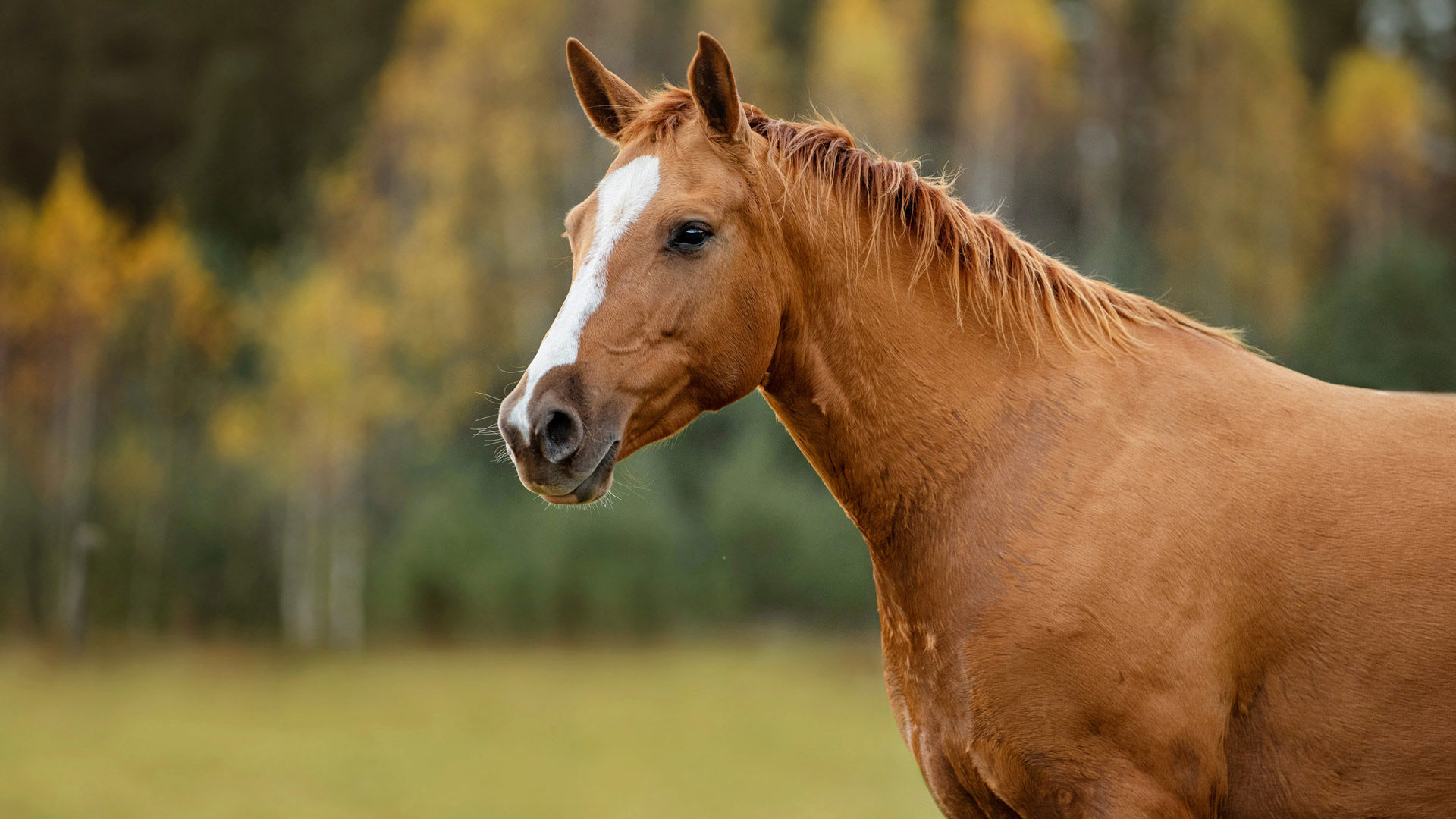 Activities & Experiences 5