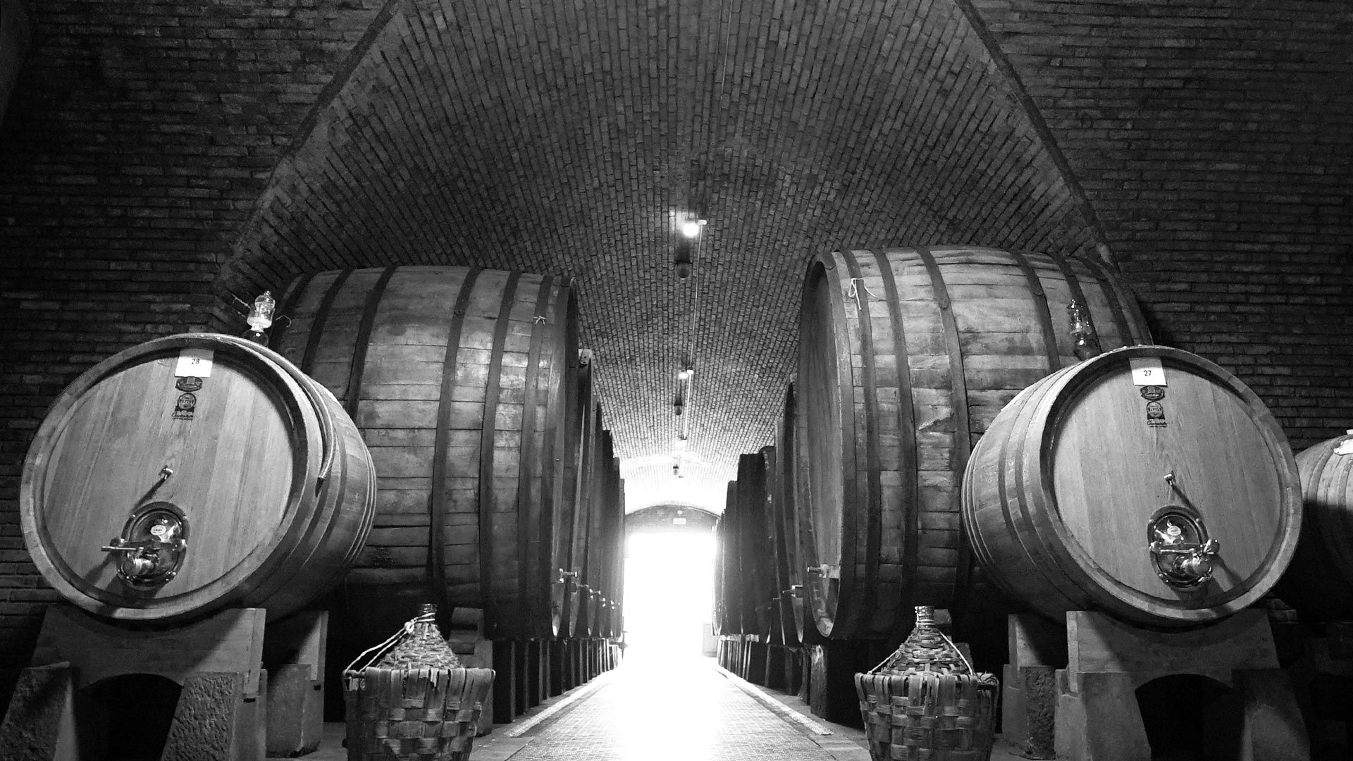 Winery in Pistoia 4