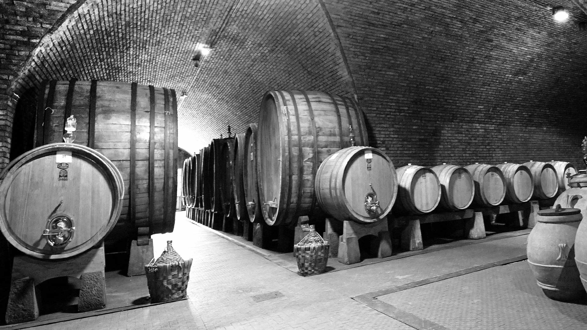 Winery in Pistoia 5
