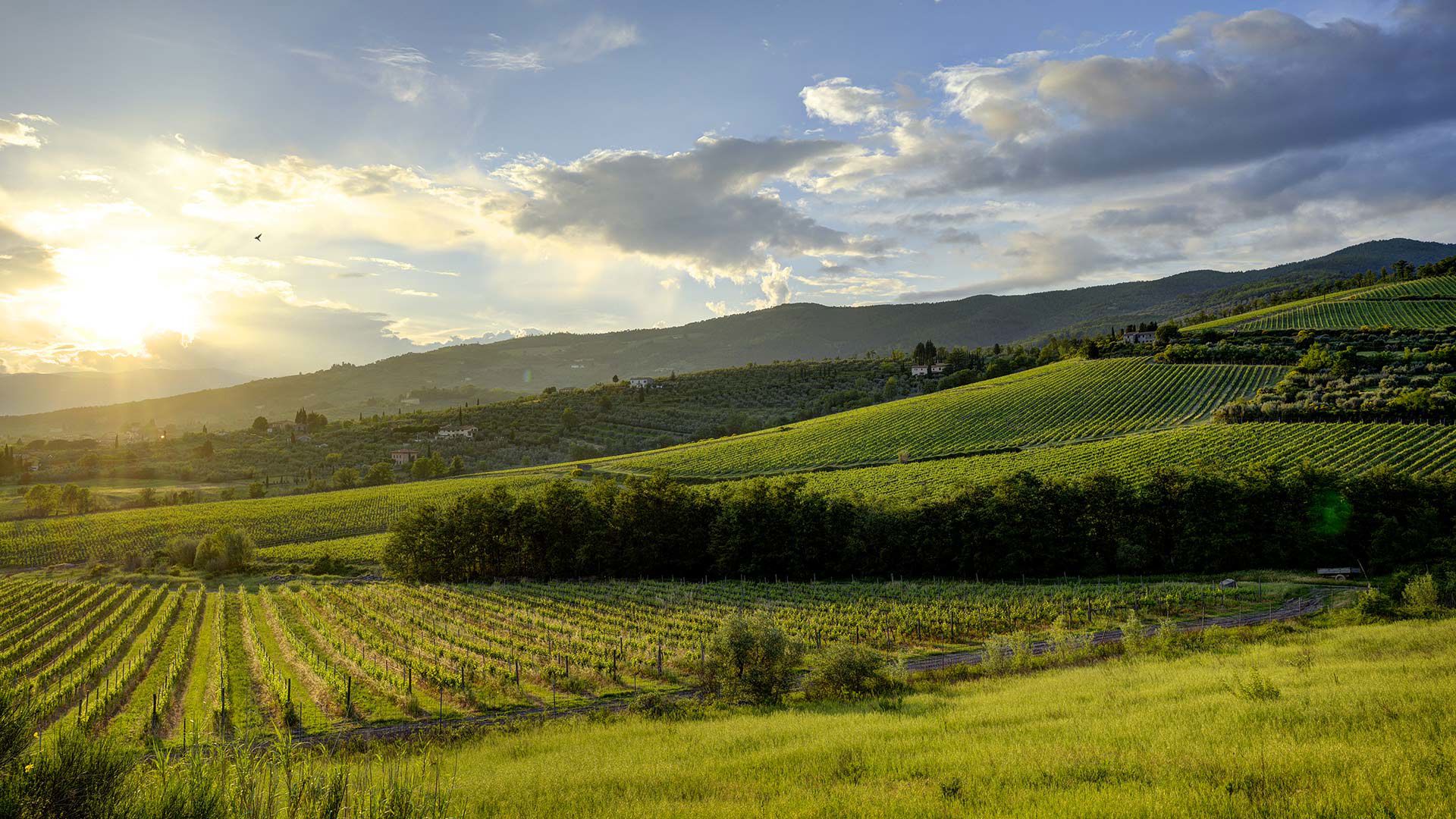 Weekend nella Natura a Pistoia 4