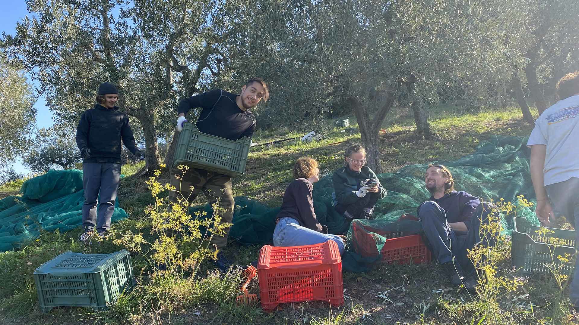 Tour ed Esperienze 5