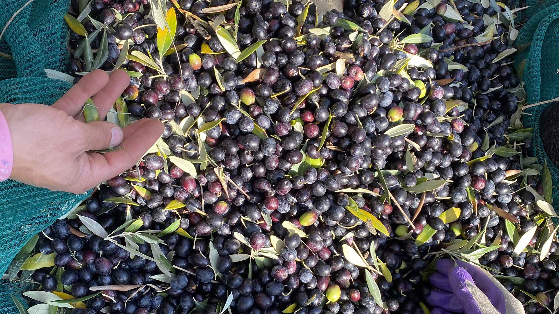 Tour ed Esperienze 6