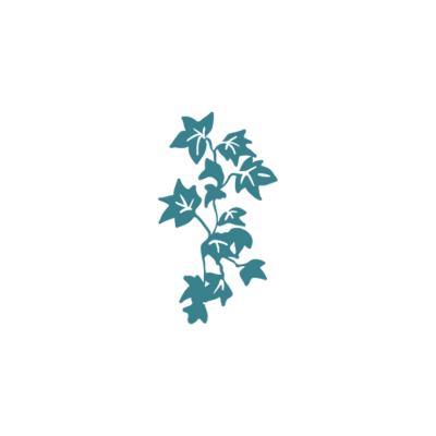 BORGO DEI CONTI RESTAURANT & SPA 8