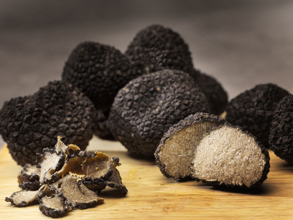 Caccia al tartufo 3 Caccia al tartufo 3