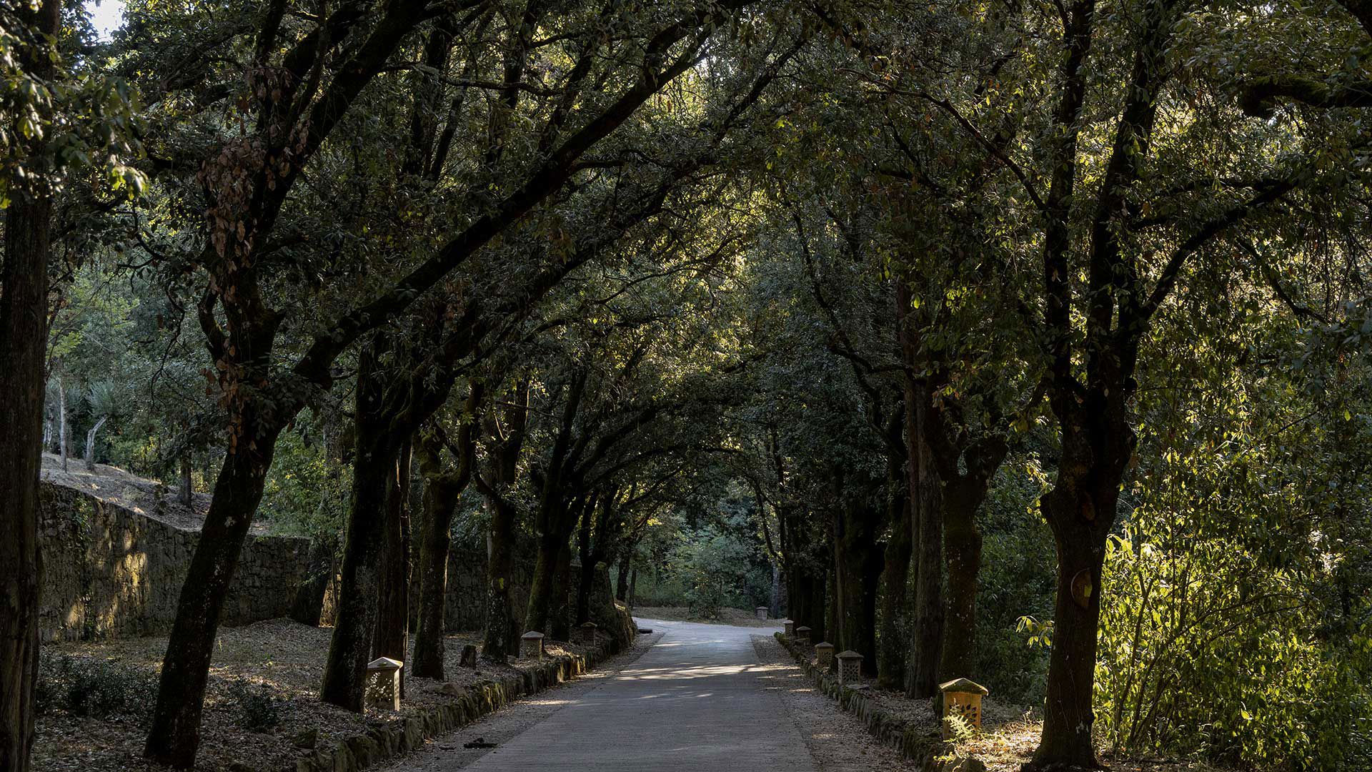 Summer “al fresco” 2025 9 Summer “al fresco” 2025 9
