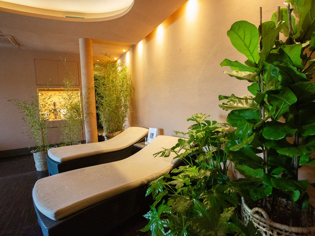 Wellness 14 Wellness 14